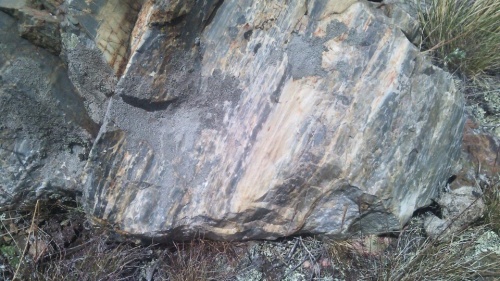 Гигантские зелёные валуны для ландшафтного дизайна весом более 5 тонн купить в Саратовской области